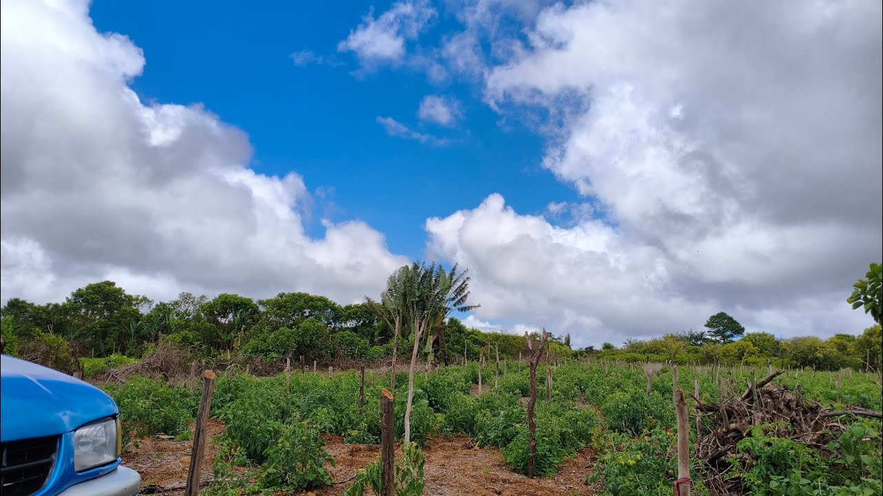 from africa #mauritius #maurice