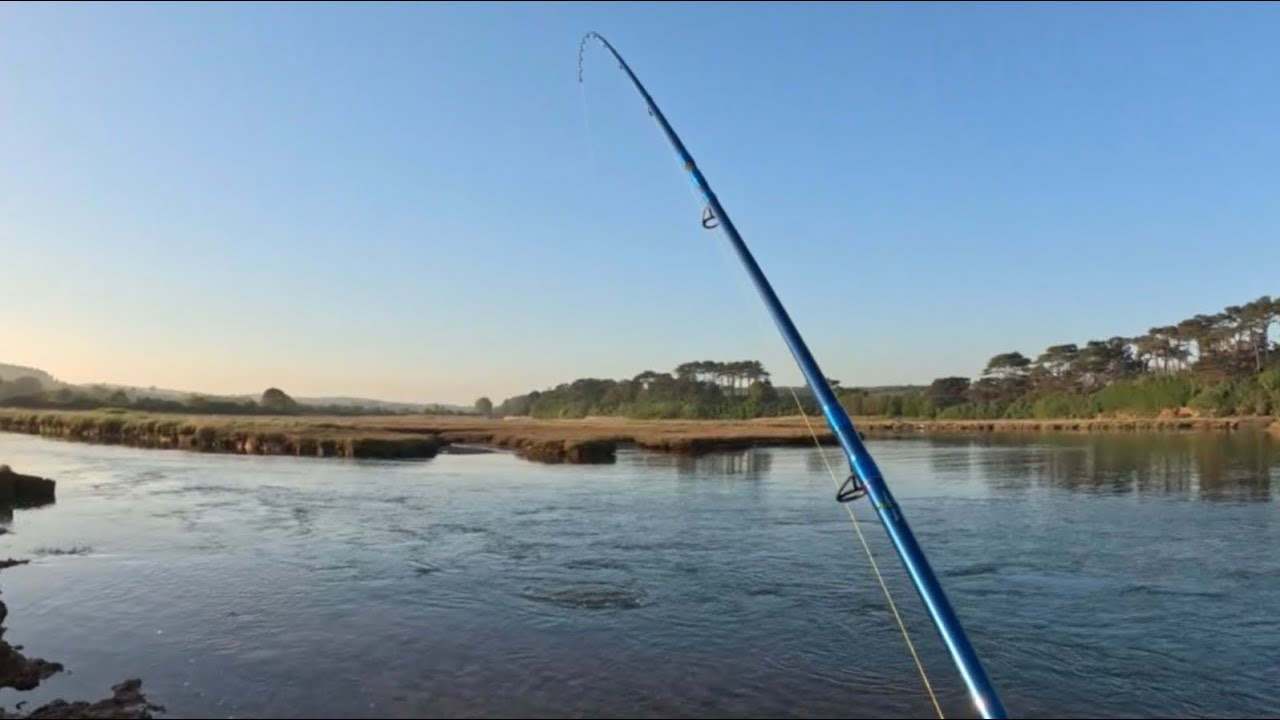 River Otter Mullet & Bass Hunt Mission Accomplished! Sea Fishing UK 2025