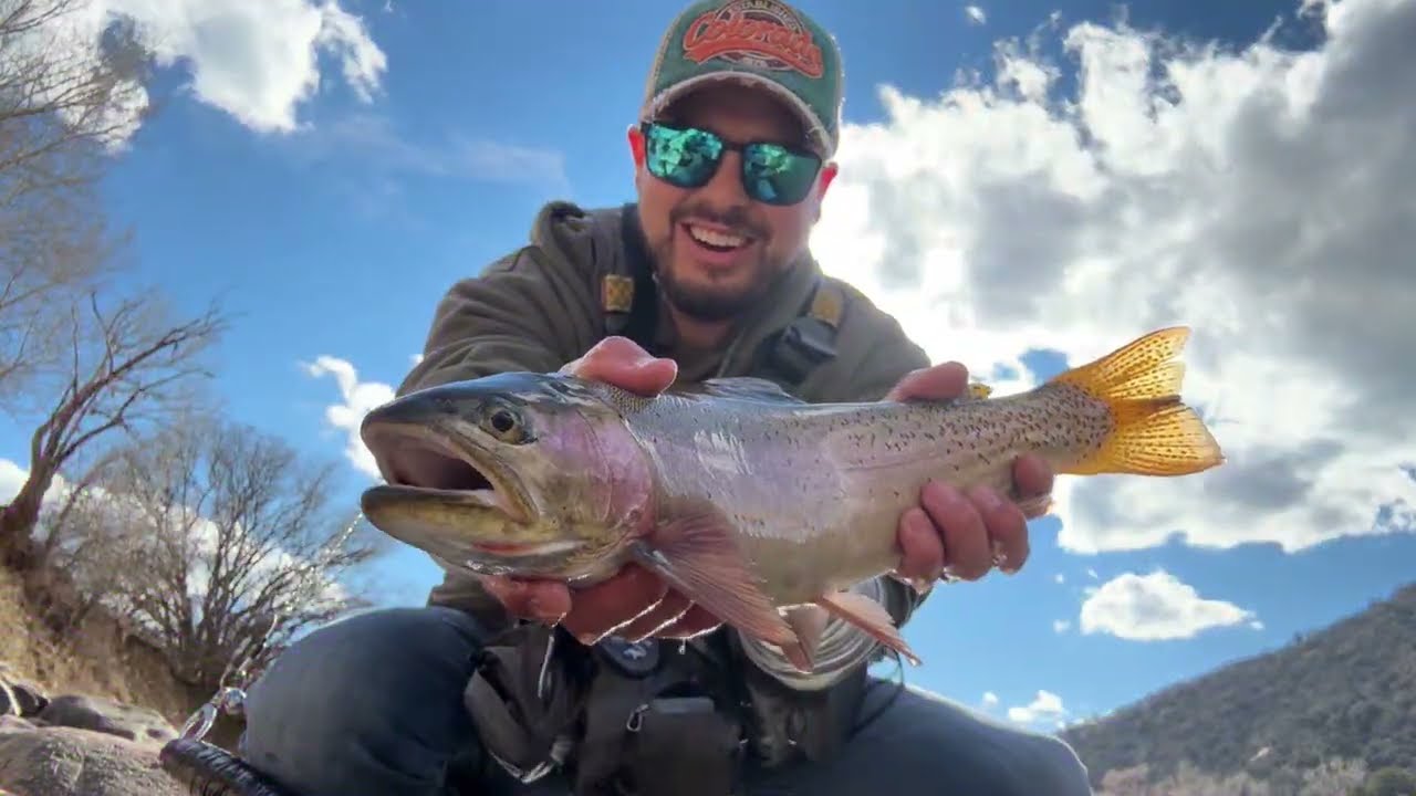 Catching Fish With Everything I throw!! (Wild River Trout) 