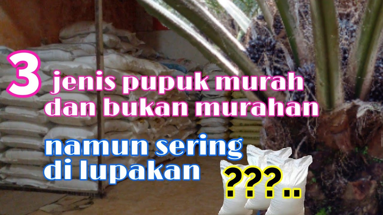 3 Jenis Pupuk Murah Yang Sering Kali Di Lupakan