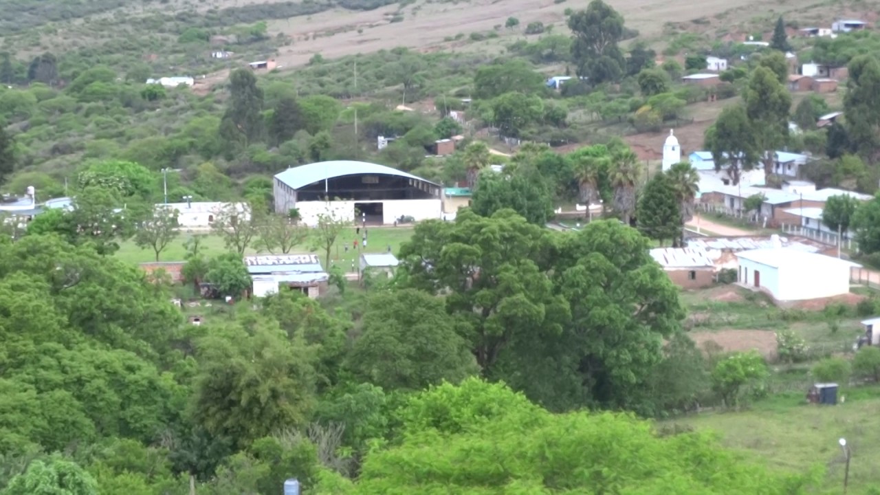 PAMPICHUELA