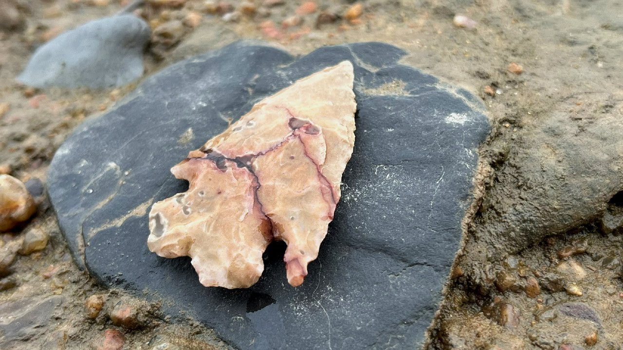 Arrowhead Hunting: Cossatot River Of Blood (2025)