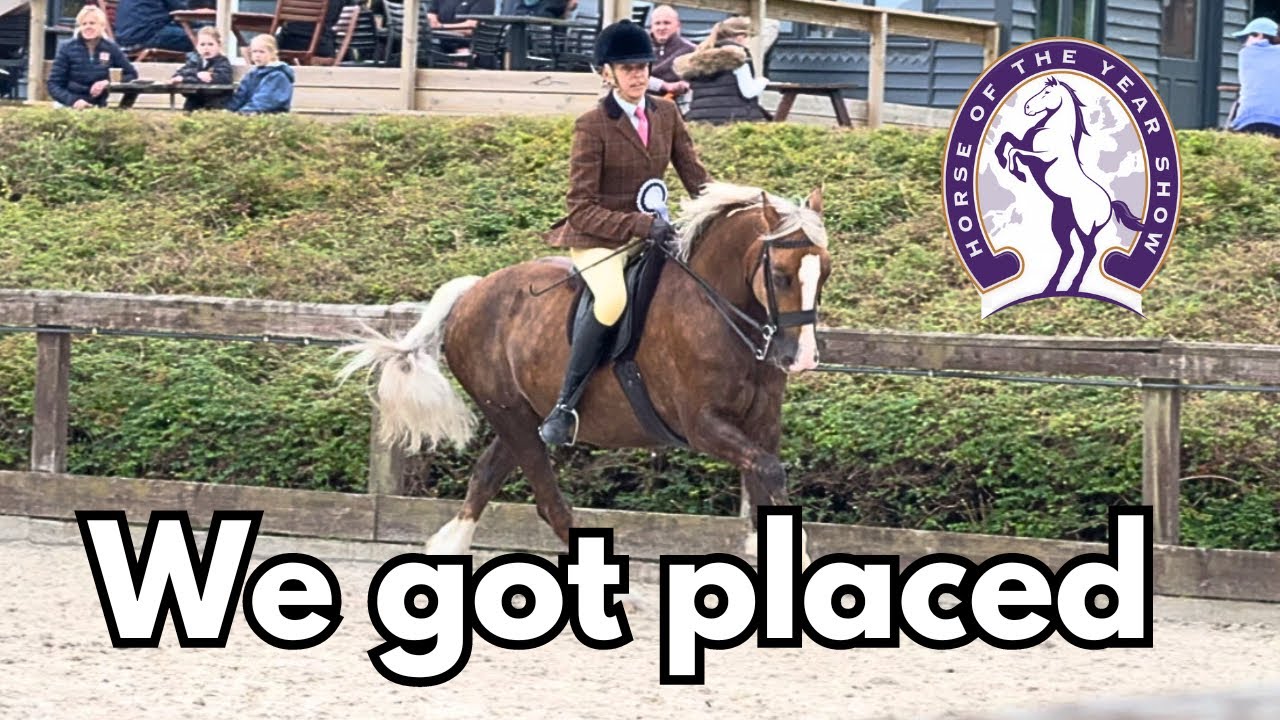 Our First HORSE OF THE YEAR SHOW Qualifier Of The Year | Horse Show Vlog | Amateur rider