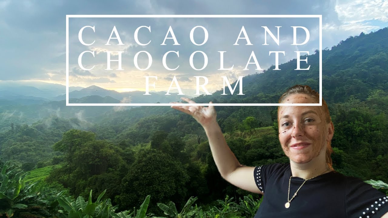 VISITING A CACAO AND CHOCOLATE FARM | MINCA COLOMBIA 🇨🇴