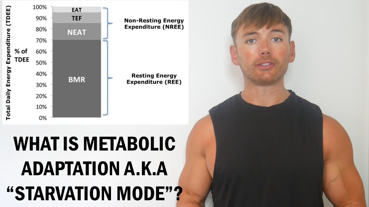 What Is Metabolic Adaptation (Starvation Mode)?