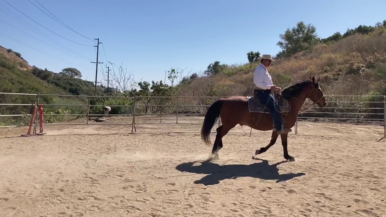 Trying to explain a little about impulsion.