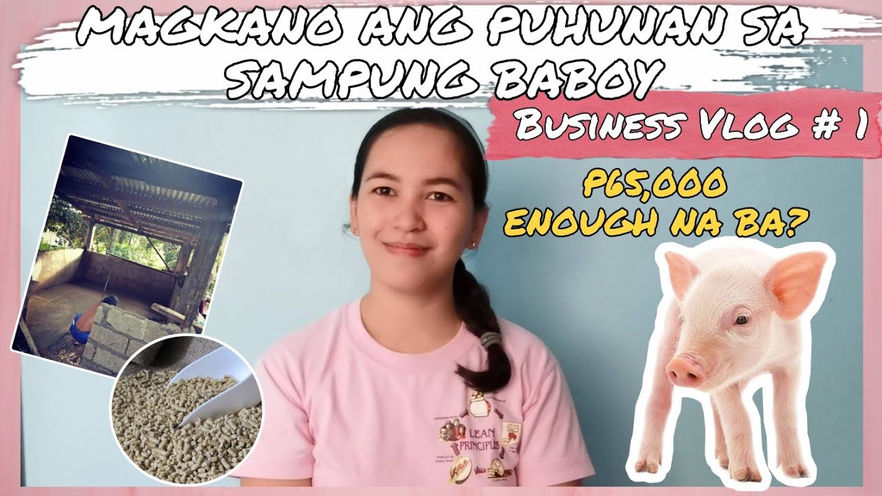 MAGKANO ANG PUHUNAN SA 10 BABOY?_ BusinessVlog_01| 3 OPTIONS | Simply EVA