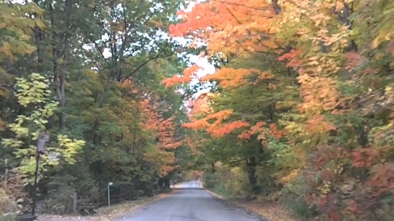Autumn with Tim Crouch (Flautist)