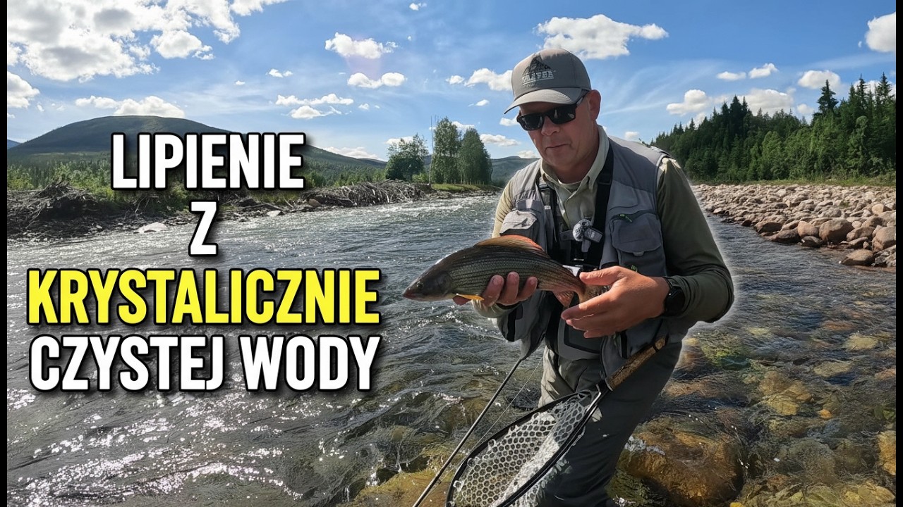 Norwegia 2026 v3 | grayling | flyfishing | dryfly | euronymph #traper #traperflyfishing