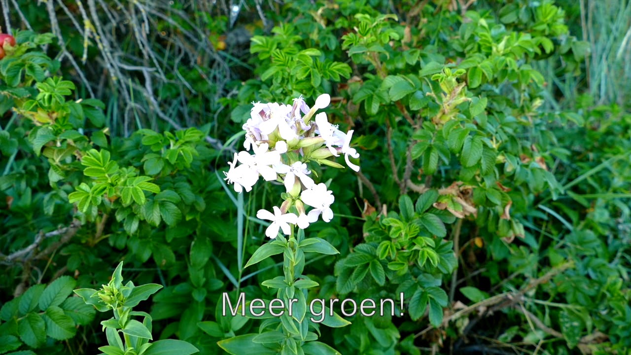 Natuur en gezondheid