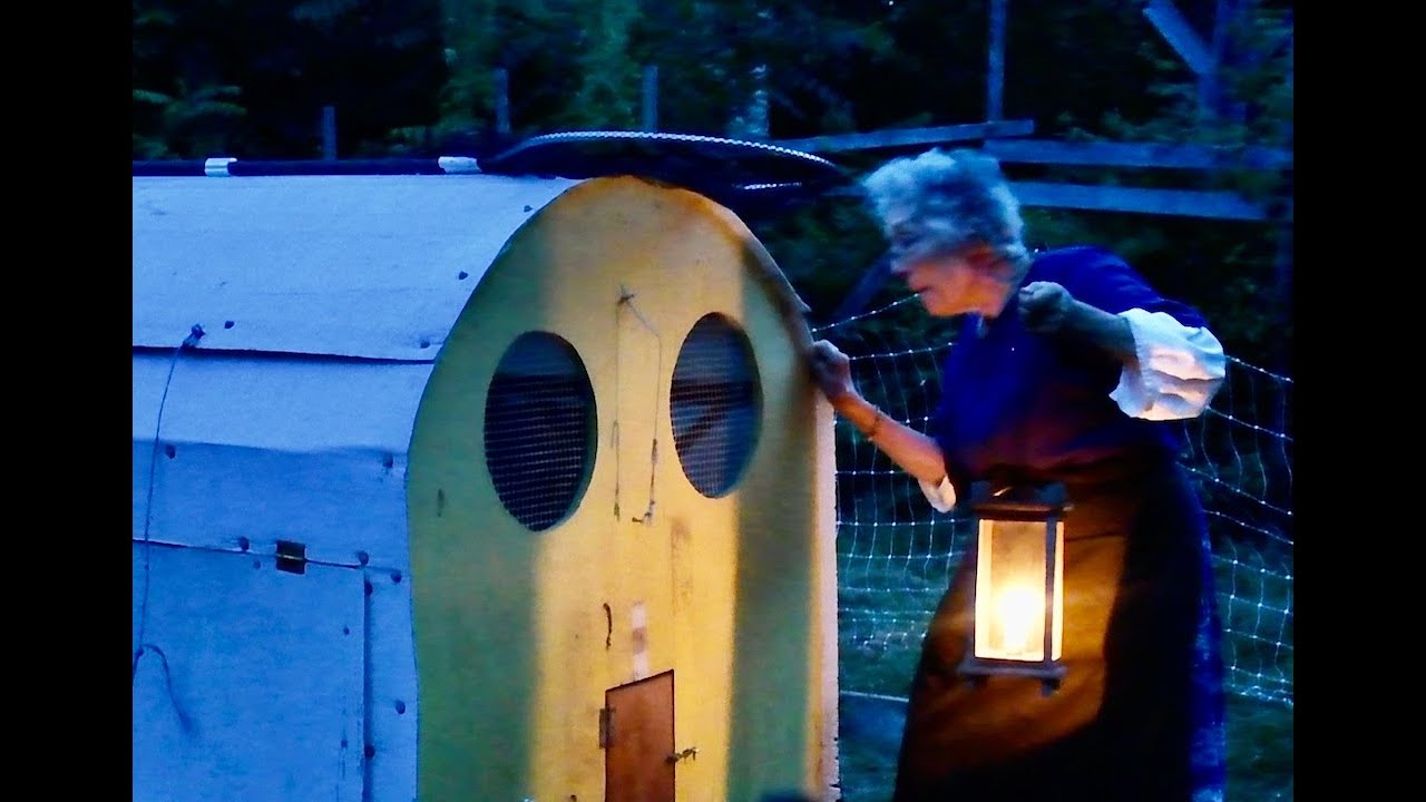 Elder Homesteader Sings French Lullaby To Roosting Chickens