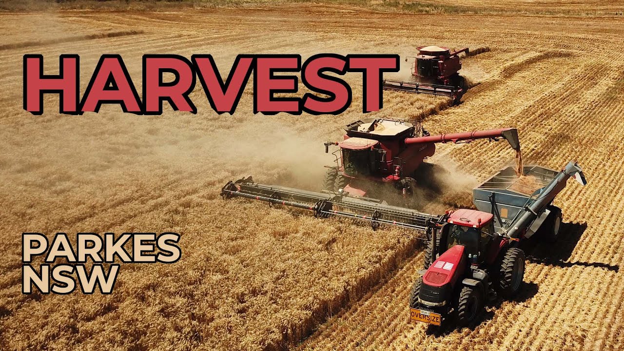 RECORD WHEAT BARLEY & CANOLA HARVEST AUSTRALIA | Huge yields, Case IH and chaser bin action