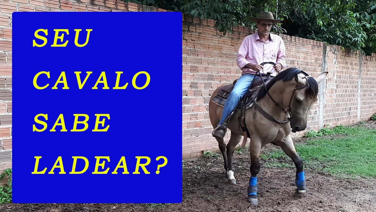 ladear o cavalo