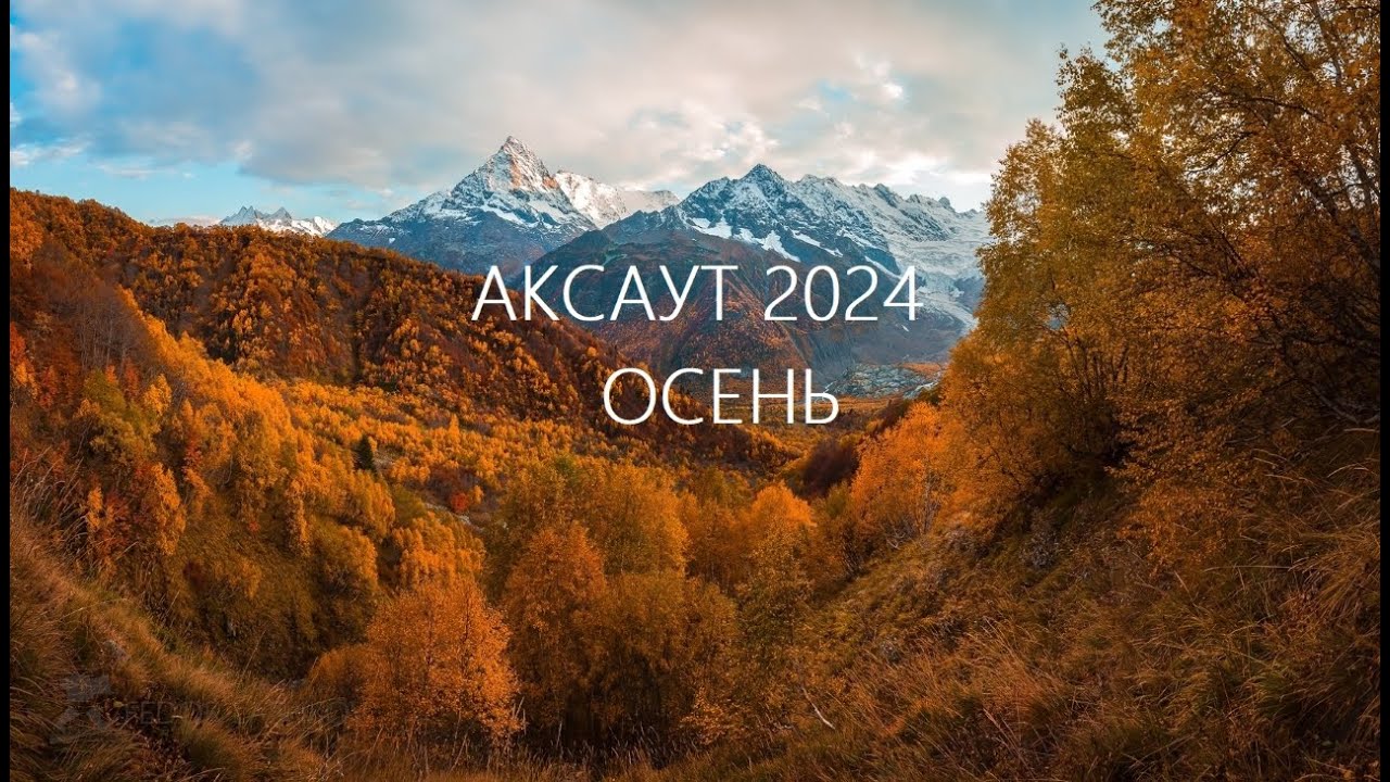 Аксаут 2024 Осень