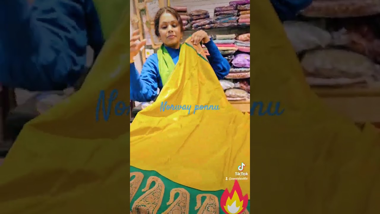 Norway Oslo Happy saree seiling #fypシ #fypシ