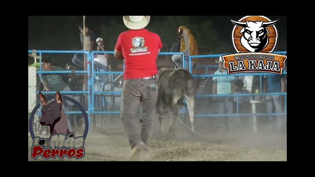 Ganadería la kaja en Santa Cruz Gro 