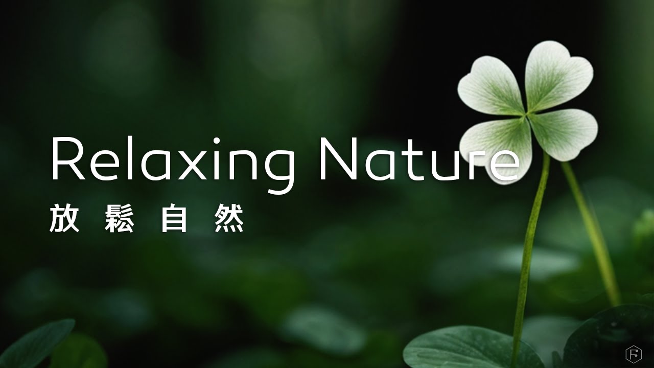 放鬆音樂Relaxing Music｜在大自然的懷抱中，尋找那片獨特的幸運草，帶來希望與祝福