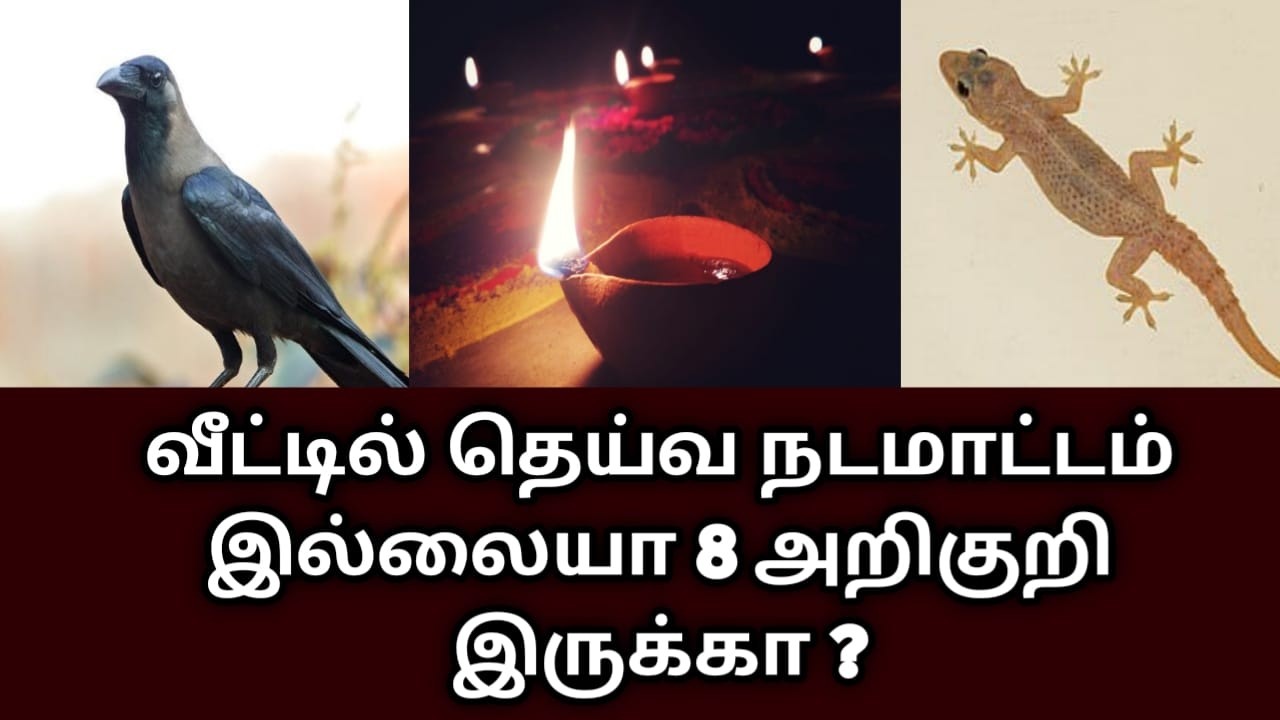 வீட்டில் தெய்வ நடமாட்டம் இல்லையா 8 அறிகுறி இருக்கா ? #PoojaRoomMistakes#பூஜை  #devotional
