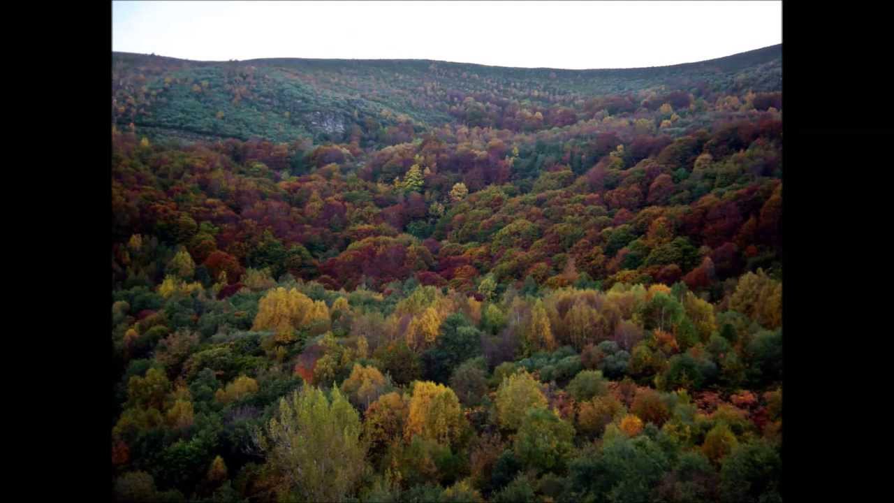 ¿Conoces El Bierzo?