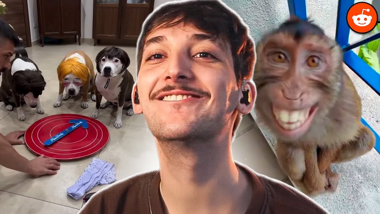 CALANGO REAGE AO MEMES MAIS ENGRAÇADOS DO REDDIT #11