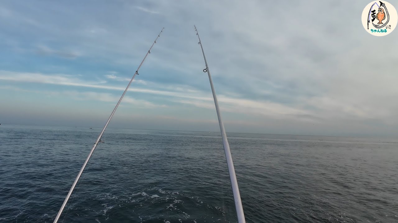 【爆釣】後志の地磯で抱卵カレイ狙い！#fishing