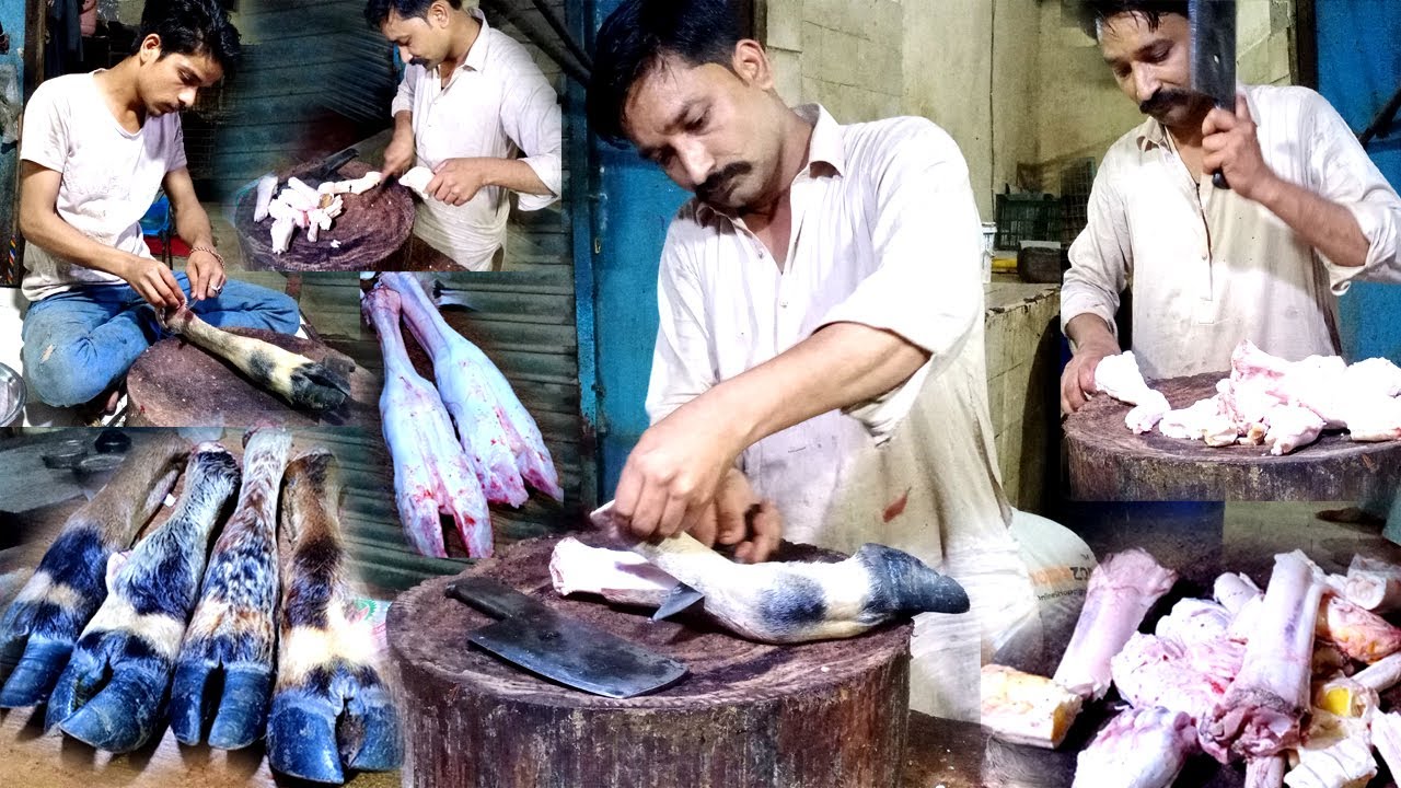Fastest Paya Cutting Skills | Buffalo Trotters Cutting Skills | Amazing Buffalo Legs Cutting Skills