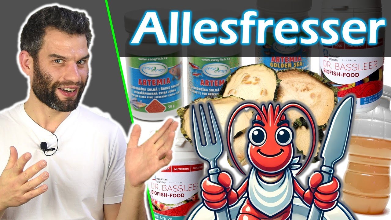 Ist Garnelenfutter wirklich egal? Der ultimative Futter-Check!