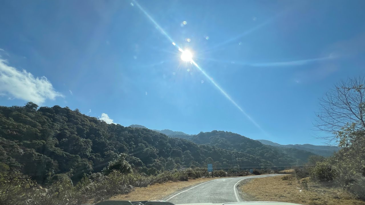 #luka #shihtzu #naturelovers #foryou #life #travel 