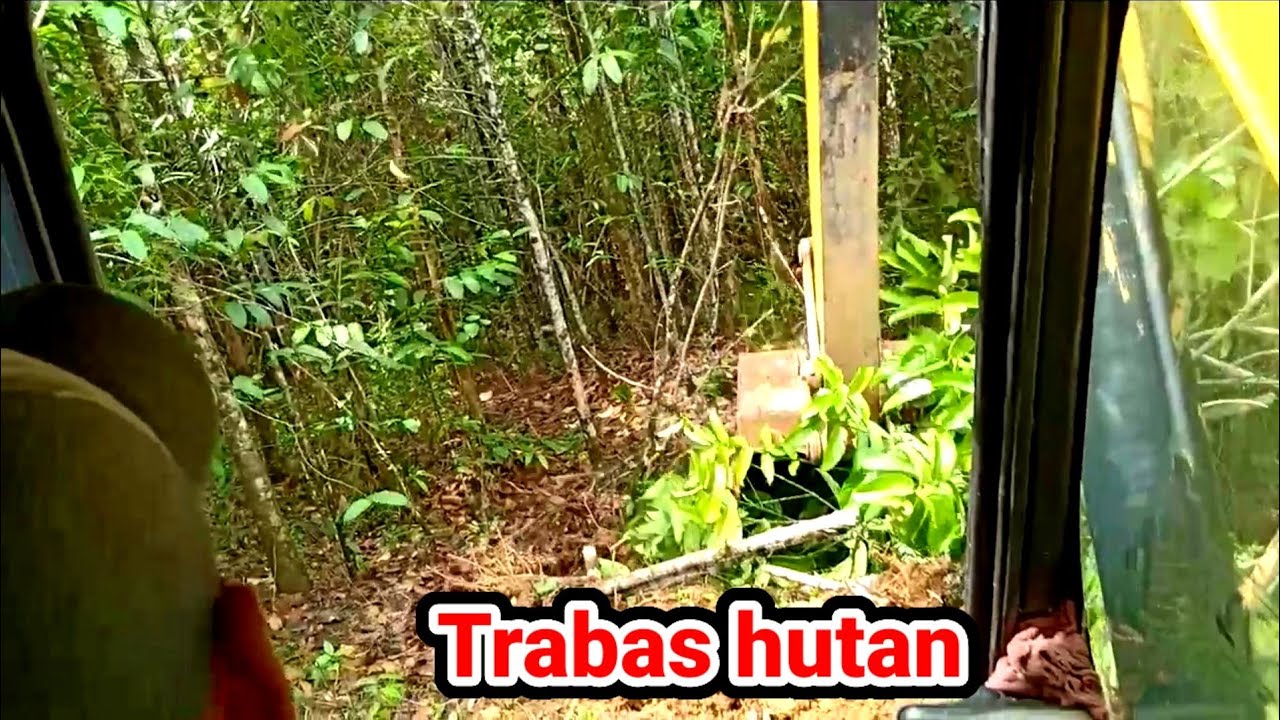 Cara excavator trabas hutan belantara view kabin