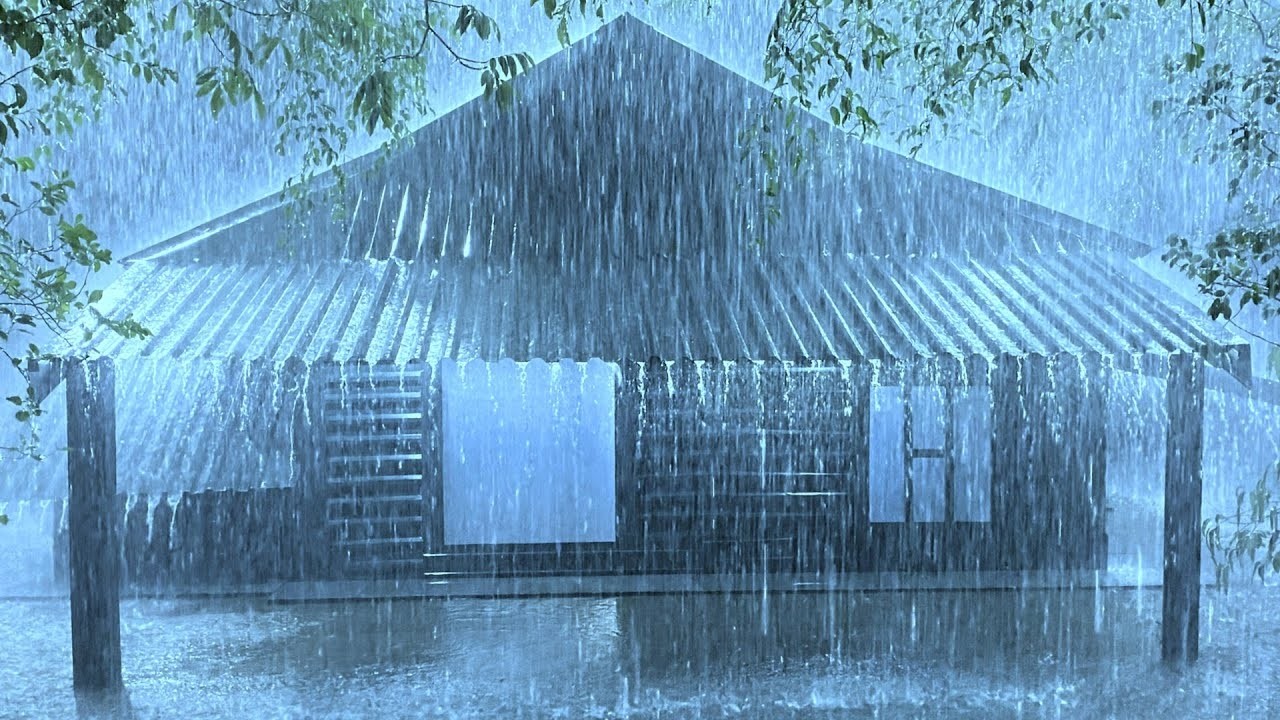 Relief From Insomnia with Loud Thunder & Torrential Rain Sounds on Old Tin Roof in Deep Rainforest