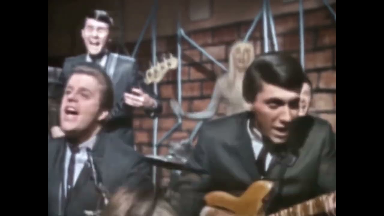 NEW 📀 Lies - The Knickerbockers {Stereo} 1965