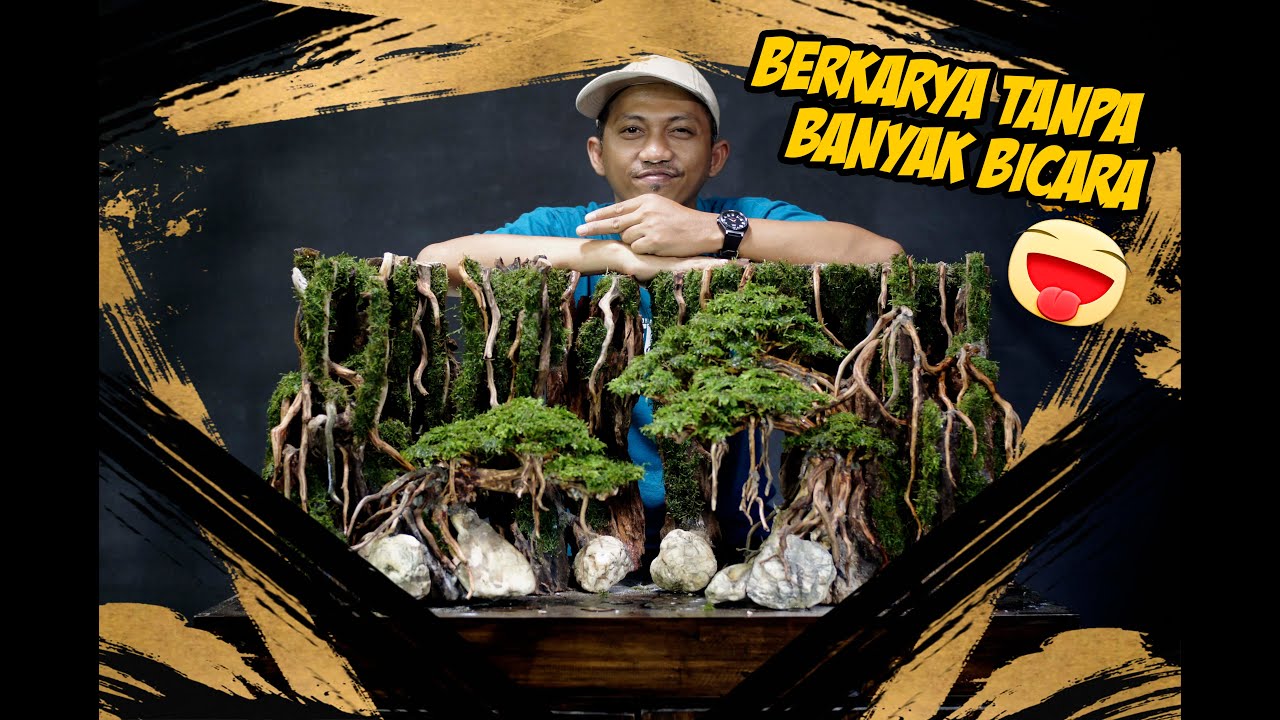 SETUP AQUASCAPE CLIENT || JUNGLE BONSAI NISSO AQUARIUM 90CM