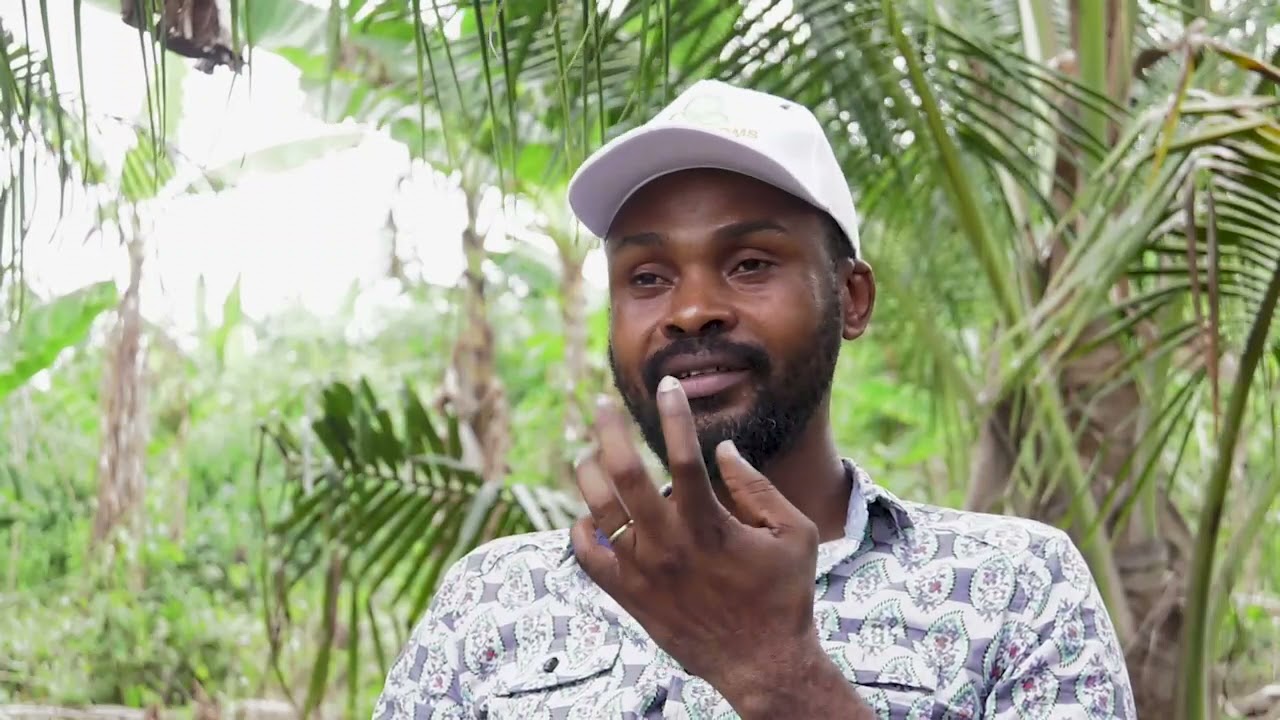 AgroLink - Coconut Farming in Ghana