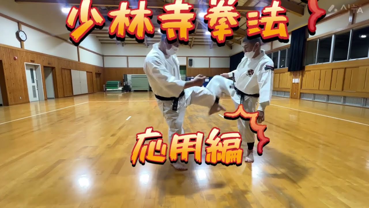 【使える護身術】　 下段蹴り対応練習   Art of self-defense  少林寺拳法応用編