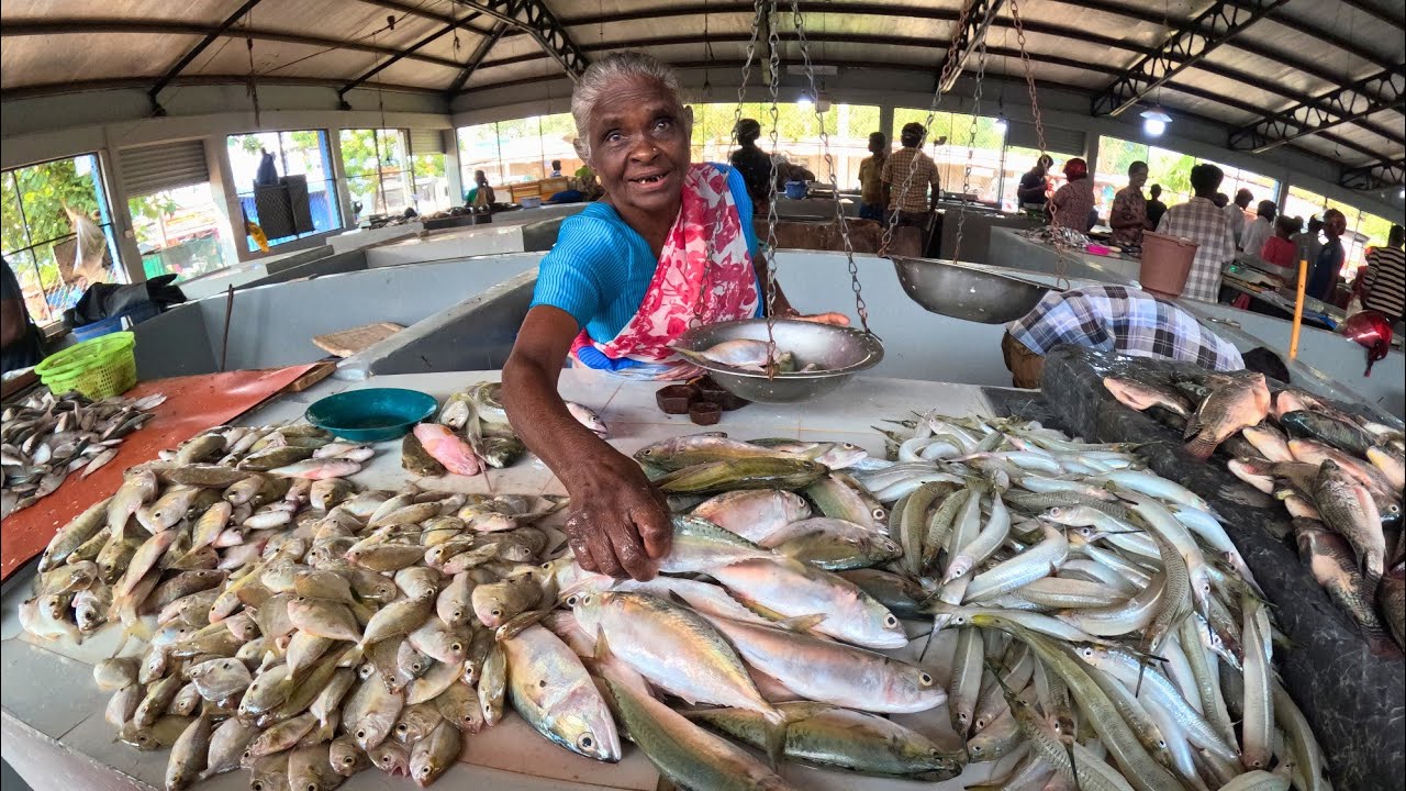 කිලිනොච්චි market එකේ බඩු මෙච්චර කියන තරම් හොදයිද,ලාබයිද? Tamil මිනිස්සු කොහොමද? 🤔