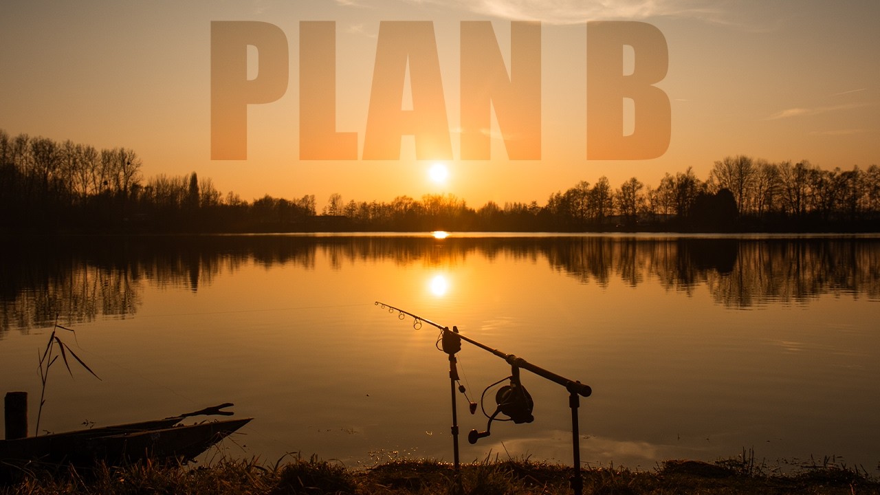 🎣 PÊCHE DE CARPES EN HIVER  : Plan b sur un plan d'eau public