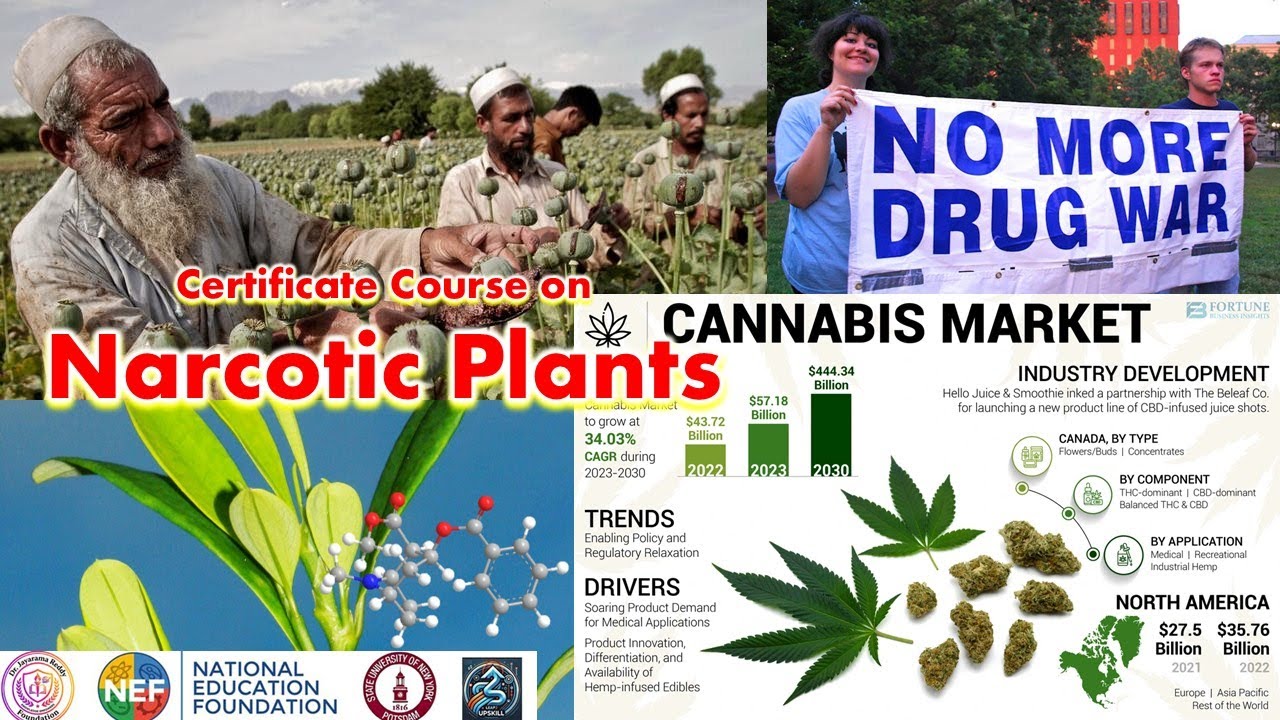 Free Certificate Course on Narcotic Plants| Dr. Jayarama Reddy Foundation| University of New York