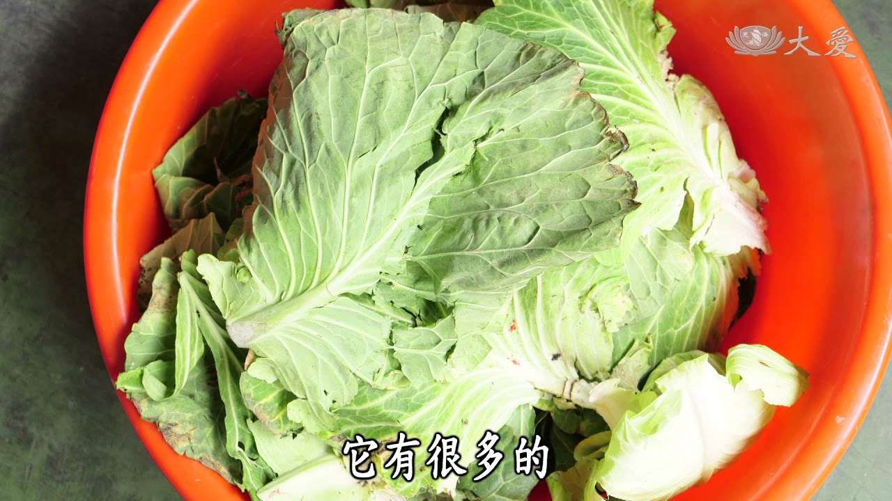 【發現】20171209 - 循環農業  - 垃圾變黃金