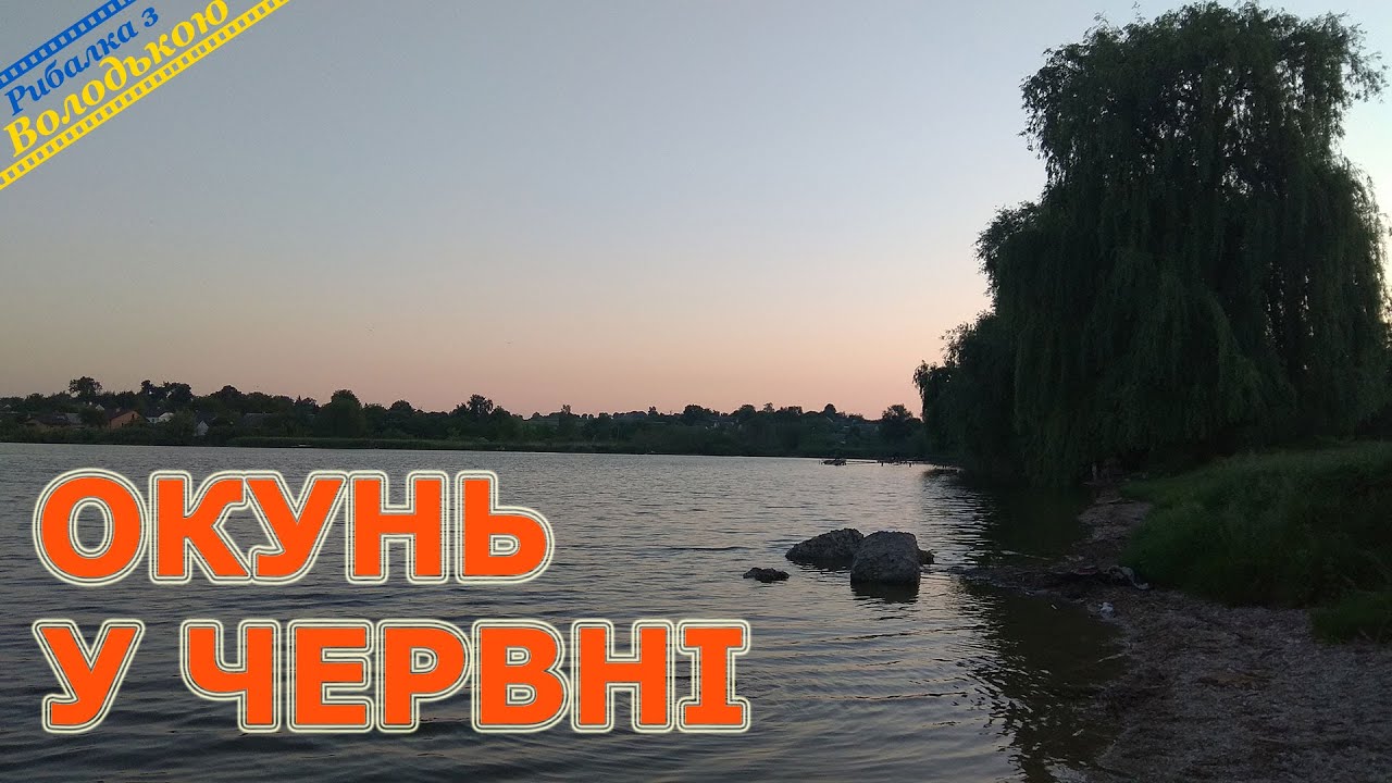 Спиннинговая рыбалка на пруду в поселке Марьяновка! Ловля окуня на ставку в июне! На что клюет окунь