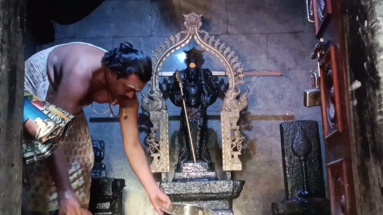 கோவில்பட்டி ஸ்ரீ சக்தி விநாயகா சுப்பிரமணியசுவாமி ஆலயத்தில் மாசி மாதம் கீர்த்திகை சிறப்பு பூஜை