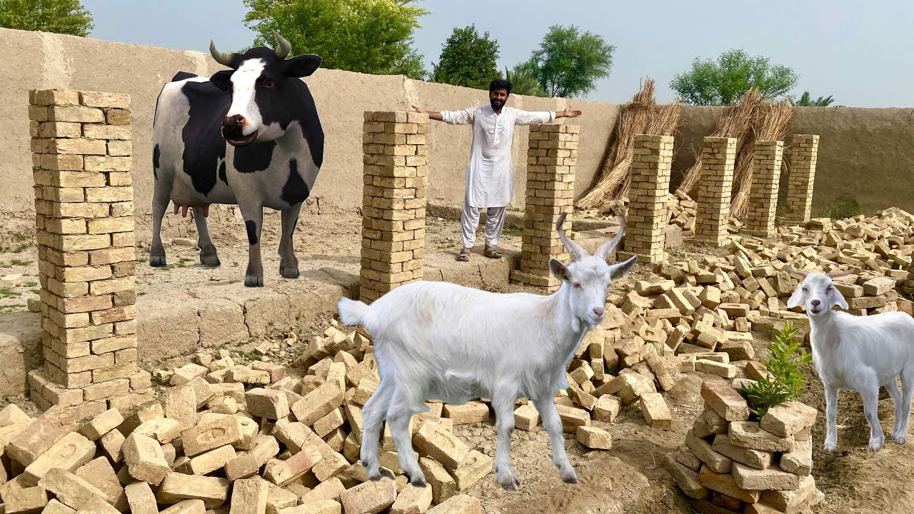 Animal Houses Ka Kam Shuru Ho Giya 😍