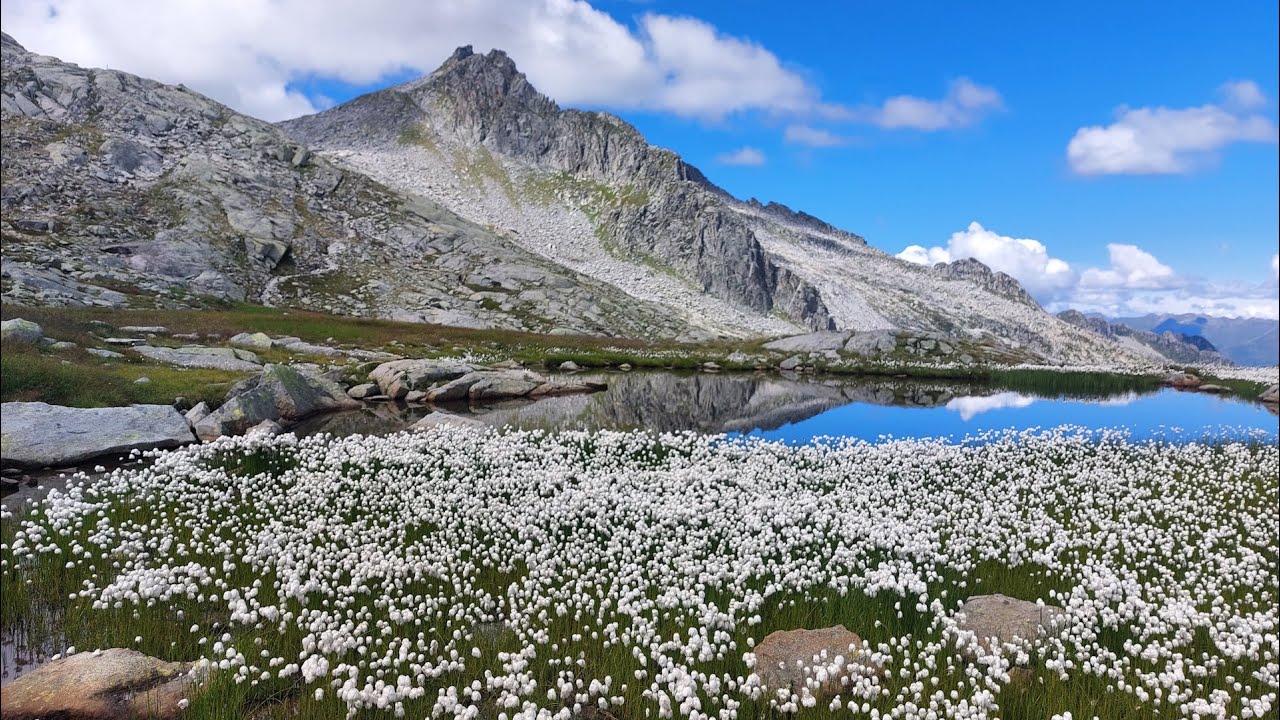 Rifugio Maria e Franco al Re di Castello