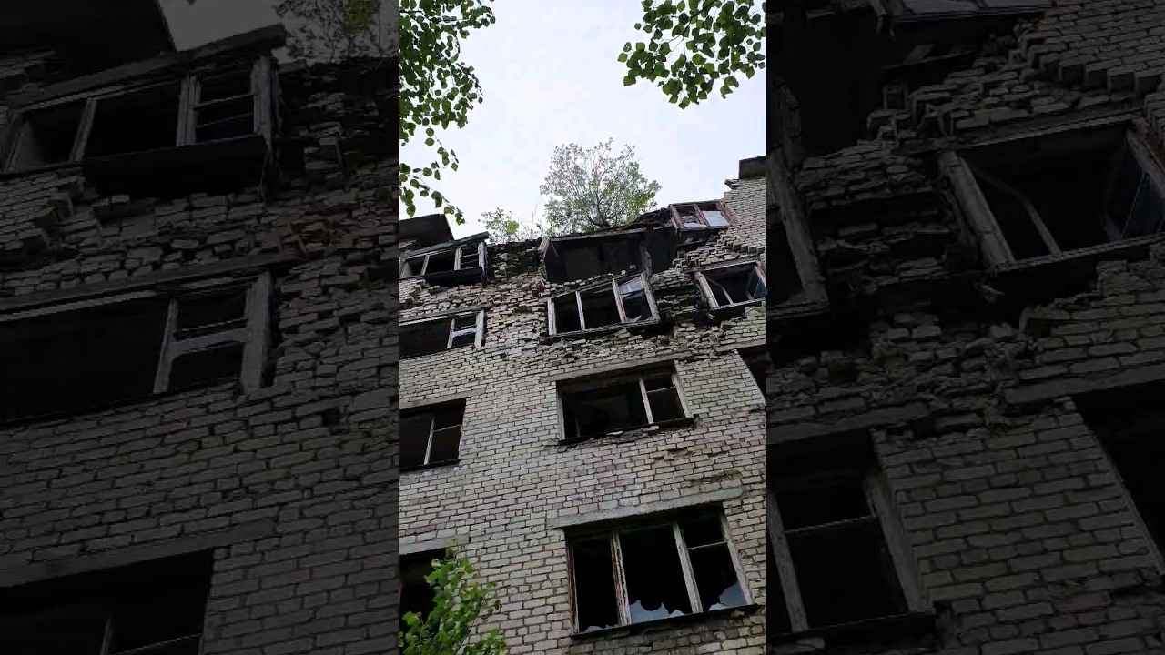 Здесь уже никто не живёт. Заброшка в Васьково #васьково #архангельскаяобласть #общежитие #заброшка