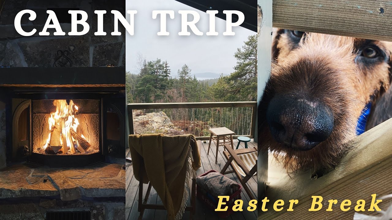 CABIN Trip for Easter Break - walks in the forest, fireplace & cabin tour