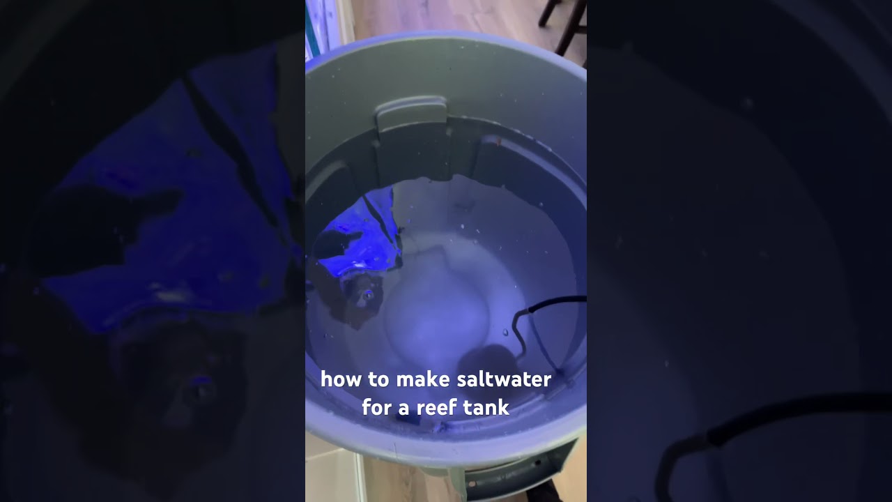HOW TO MAKE SALTWATER FOR A REEF TANK #aquarium #fishtank #reeftank