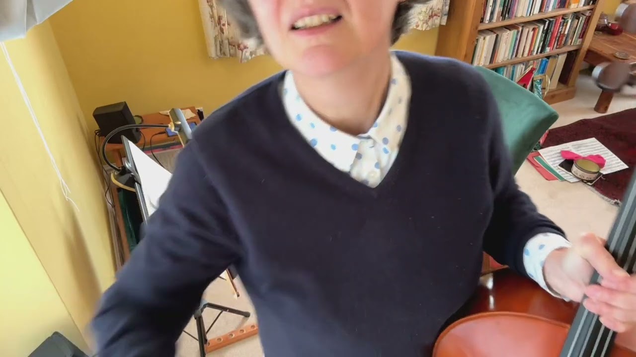 The Swan - adult cello learner 4 and a half years
