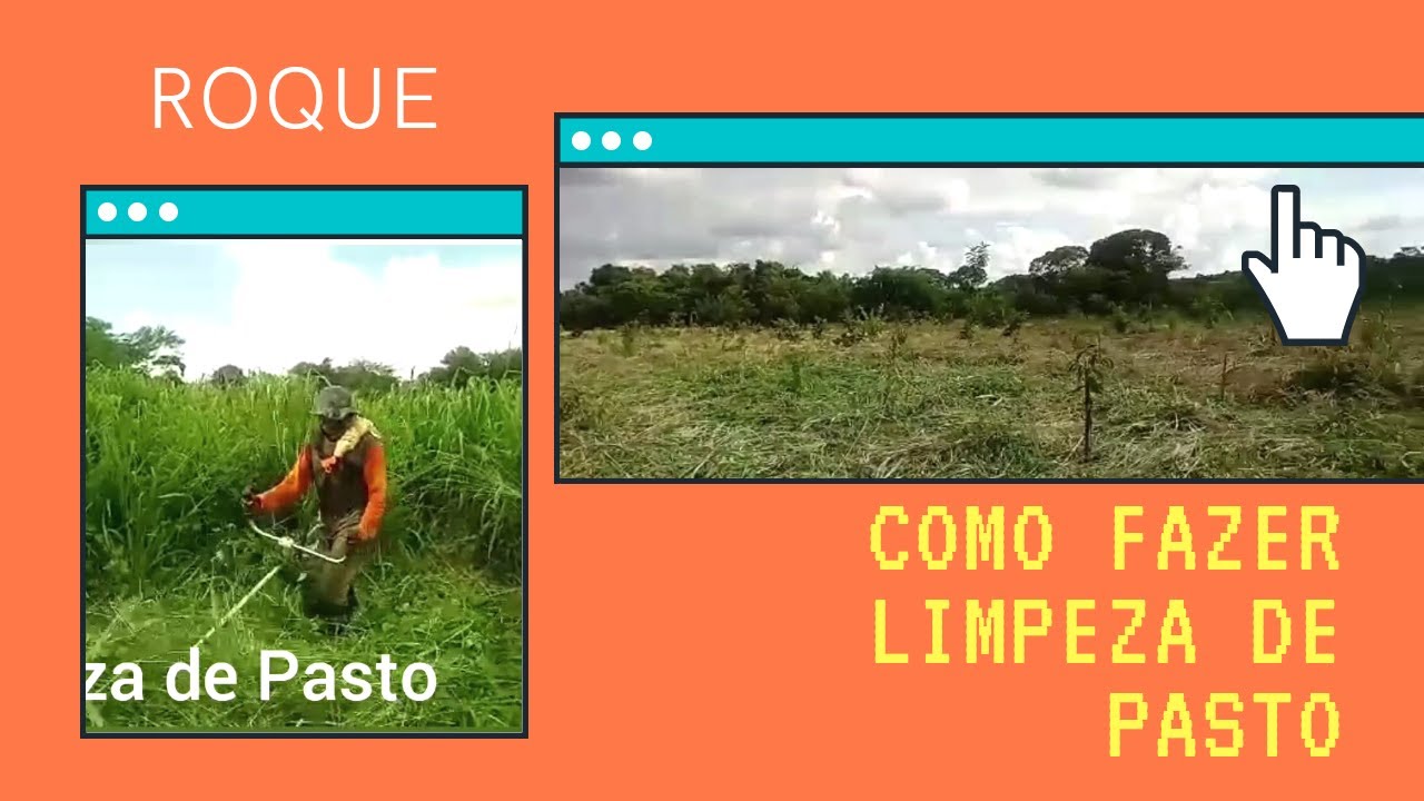 Como fazer limpeza de Pasto