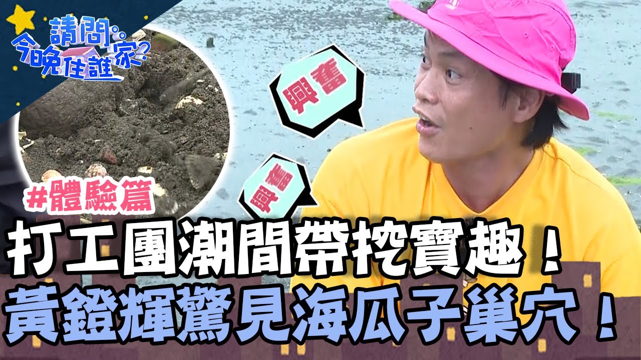 打工團潮間帶挖寶趣！黃鐙輝意外發現海瓜子巢穴當場嗨翻！【請問 今晚住誰家】體驗篇 20230725 EP788 Part3 竇智孔 黃鐙輝