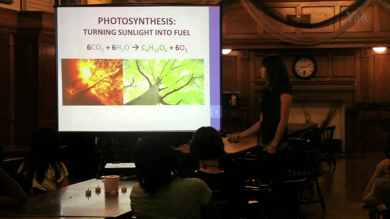 Yale Pathways, Science Café: Sunlight to Fuel by Julianne Thomsen