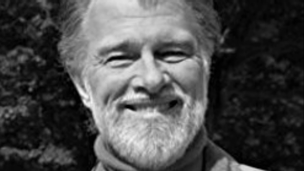 Michael Winkelman - Psychedelics and Human Evolution
